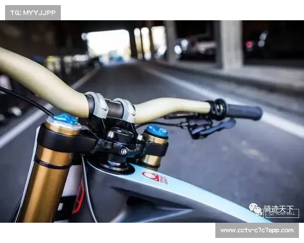 男子精英组对决:英国车手Matt Walker与Danny Hart的秒差之争